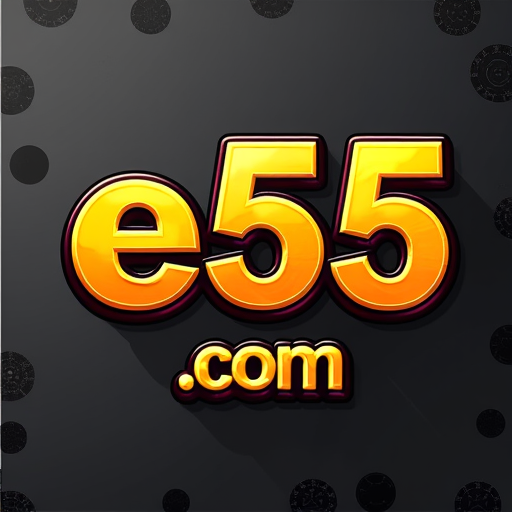 e55.com